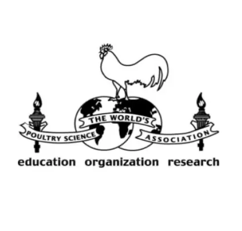 Education Organization Research