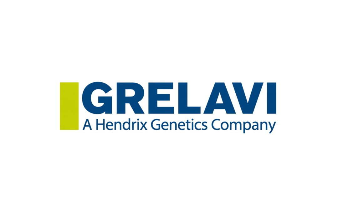 GRELAVI S.A.