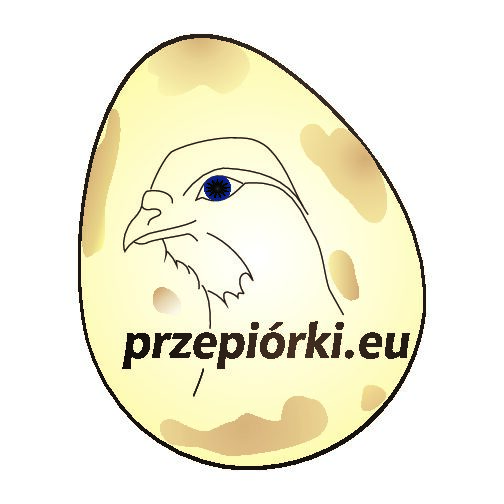 Gospodarstwo Rolne Dariusz Królik