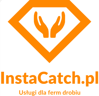 Insta-Catch Dawid Siliwoniuk