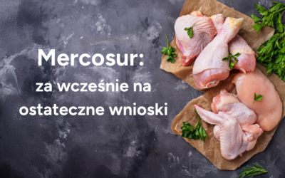Kilka miesięcy to za mało, by ogłaszać, że obawy o Mercosur były bezpodstawne